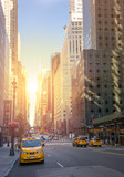 Fototapeta Koty - A street  New York city with yellow cabs