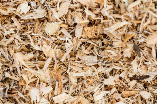 Fotografie, Obraz Background of sawdust. Texture. Wallpaper