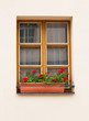 Wooden window on the wall in Vienna