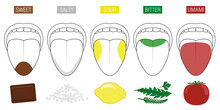 Tongue Taste Areas. Illustration With Five Sections Of Gustation - Sweet, Salty, Sour, Bitter And Umami - Represented By Chocolate, Salt, Lemon, Herbs And Tomato.