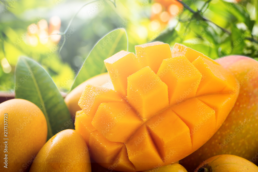 Fresh And Beautiful Mango Fruit In A Bamboo Basket On Nature Fresh And Beautiful Mango Fruit In A Bamboo Basket On Nature