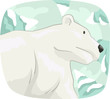 Polar Bear On Snow Illustration