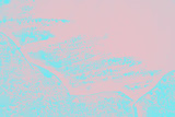 Fototapeta Abstrakcje - black and pink background, brush texture