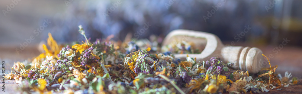 Banner for homeopathy: close up of dryed herbs and blooms - obrazy, fototapety, plakaty 