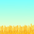 Summer sunny landscape with a field of ripe wheat gradient flat style design vector illustration. Beautiful background for your needs. Sunny day in the wheat field.