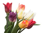 Fototapeta Tulipany - Bouquet of colorful and beautiful tulips flowers isolated on white background. Still life, wedding. Flat lay, top view