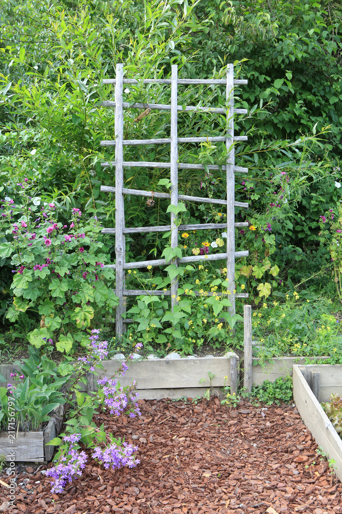 Échelle Plantes Grimpantes Windhager - Bois Pin FSC - 60x120cm - Montage Facile