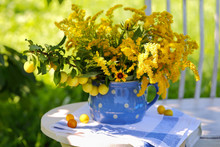 полевые цветы и алыча на садовом столе