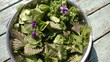 Close up of a metal  colander bowl of nutritious foraged edible organic flowers and plants from the home garden  of nettles, violets, spinach on a vintage wooden table in the sunshine in Summer