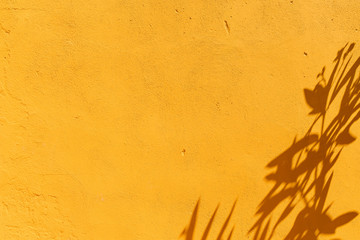 Orange painted wall background