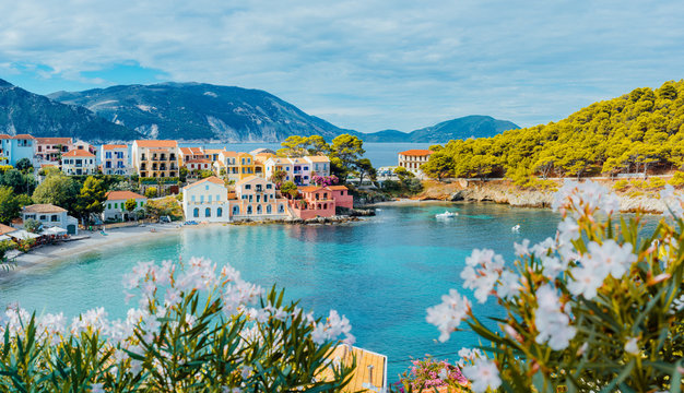 panoramic view to assos village in kefalonia, greece. bright white blossom flower in foreground of t