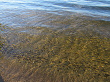 View Of A Lake With Shallow Water With The Sandy Bottom Visible 