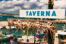 Drying Octopus, Traditional Greek Seafood And Taverna In Harbour Of Chania In The Sunny Morning, Crete, Greece