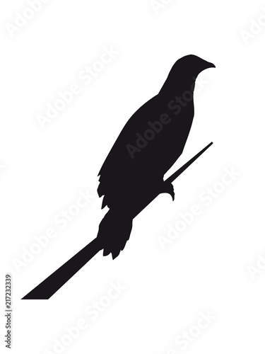 Seil Rabe Sitzend Silhouette Umriss Schatten Adler Falke Taube Vogel Fliegen Clipart Buy This Stock Illustration And Explore Similar Illustrations At Adobe Stock Adobe Stock