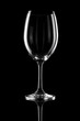 © dohee - transparent wine glass on the black