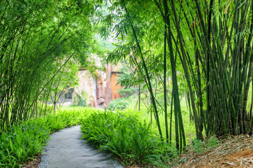 Poster - Scenic stone walkway among ferns and green bamboo trees