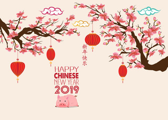 Wall Mural - Happy Chinese new year 2019, year of the pig with cute cartoon pig. Chinese wording translation happy Chinese new year