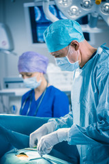 Wall Mural - Vertical Shot of a Professional Surgeon Performing Invasive Surgery on a Patient in the Hospital Operating Room. Surgeon Use Instruments. Real Modern Hospital with Authentic Equipment.