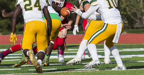 Wall Mural - Quarterback receiving the ball in the shot gun