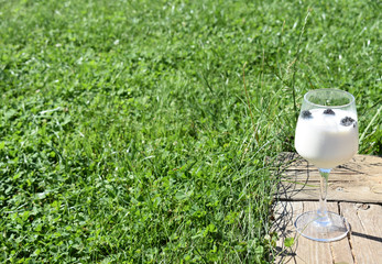 Ice cream in a glass on a wooden board and grass background