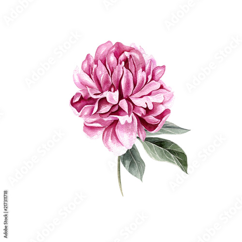 Beautiful Watercolor set with peony.