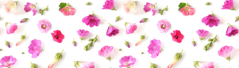 Wall Mural - Composition pattern from plants, wild flowers mallow isolated on white background, flat lay, top view. 