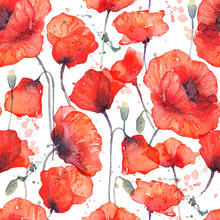 Watercolor Seamless Pattern With Wild Red Poppies