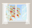 Rowan branch outside the window. Red berries with yellow leaves. Open window with curtains on a gray background. Vector illustration