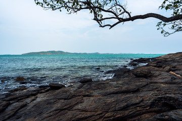 Canvas Print - Tree and sea rocks with wave