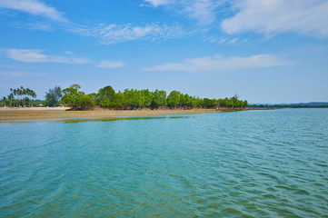 Poster - The mangroves on land spit in river, Chaung Tha, Myanmar