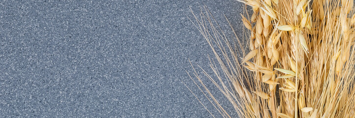 Brightly ears of wheat and barley on the background of gray granite.