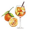 Watercolor hand painted Spritz cocktail with orange fruit simple sketch illustration