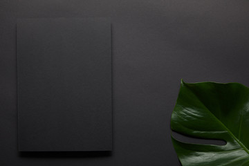 Canvas Print - Black notebook on black background with monstera leaf