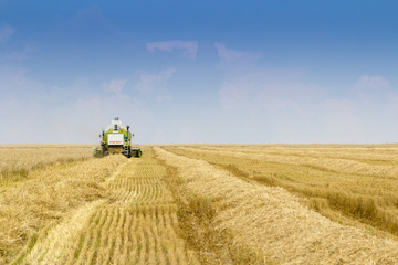 combine harvesting a field of wheat