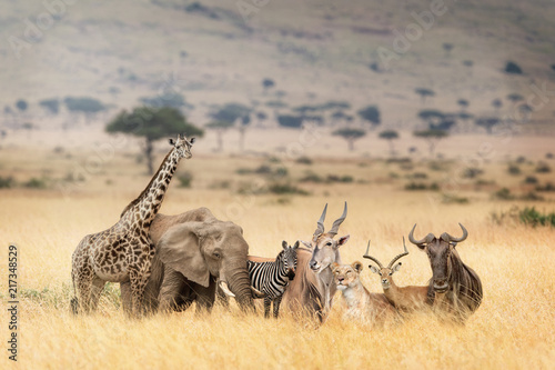 zwierzeta-afrykanskiego-safari-w-scenerii-marzycielskiej-kenii
