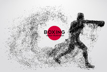 Boxing Silhouette. Boxing. Vector Illustration