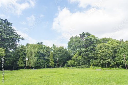 江古田の森公園の草っぱら広場 東京都中野区 Buy This Stock Photo And Explore Similar Images At Adobe Stock Adobe Stock