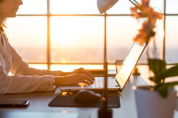 adult businesswoman working at home using computer, studying business ideas on a pc screen
