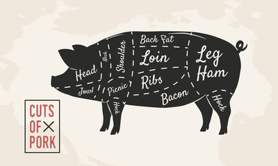 Wall Mural - Cuts of Pork. Meat cuts. Butcher diagram. Vintage Poster. Vector illustration