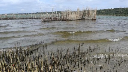 Canvas Print - Traditional Tsonga fish traps built in the Kosi Bay estuary, Tongaland, South Africa