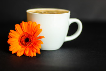 Coffee cup and orange gerbera, black background