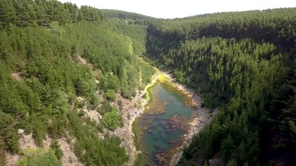 Wall Mural - aerial drone view flying backwards over a narrow, long lake and onto a forested area at the top of a