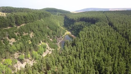 Wall Mural - aerial drone view flying over a forest before descending into a narrow canyon containing a long lake