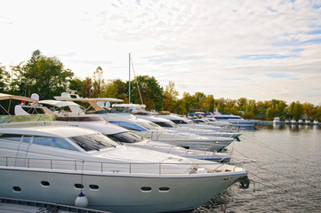 Wall Mural - Luxury Yachts