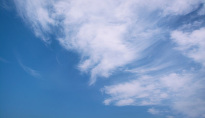Wall Mural - white curly clouds in a blue sky. sky background