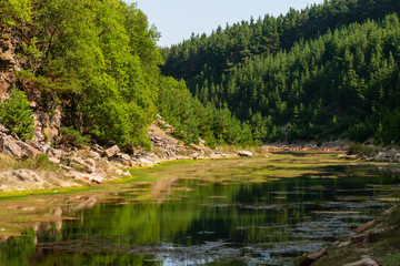 Wall Mural - a beautiful shallow lake in a small canyon surrounded by forest and trees