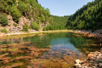 Wall Mural - a beautiful shallow lake in a small canyon surrounded by forest and trees