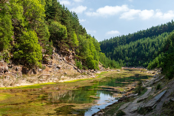 Wall Mural - a beautiful shallow lake in a small canyon surrounded by forest and trees