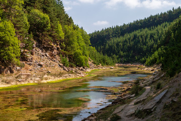 Wall Mural - beautiful lake in a small canyon surrounded by forest and woodland (blaencuffin, wales)