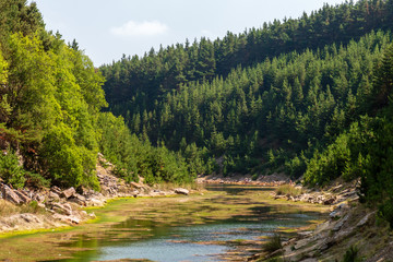 Wall Mural - beautiful lake in a small canyon surrounded by forest and woodland (blaencuffin, wales)
